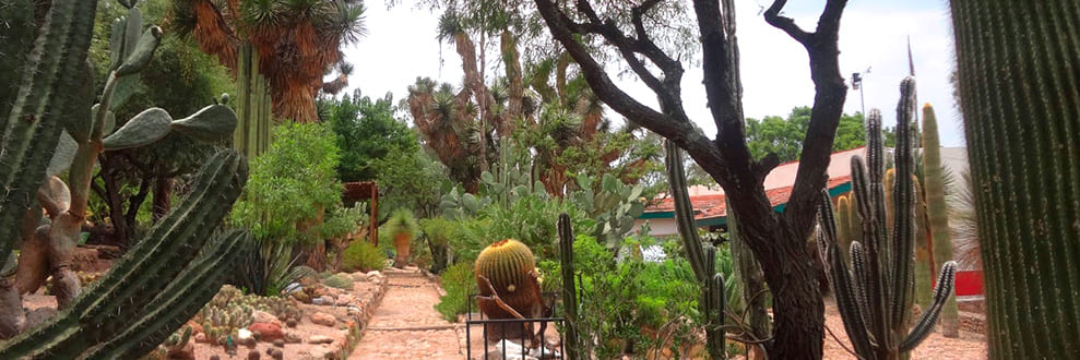 CADEREYTA DE MONTES